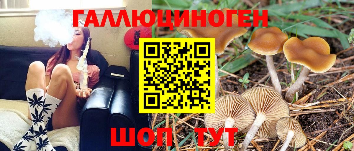 Волгодонск  Псилоцибиновые грибы GOLDEN TEACHER  сколько стоит  Вход с VPN 