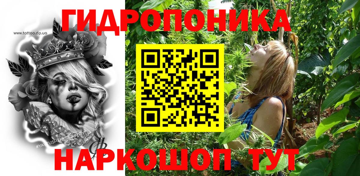 Волгодонск  Каннабис план  Конопля план  Конопля планчик  МАРИХУАНА Bruce Banner  Вход с VPN 